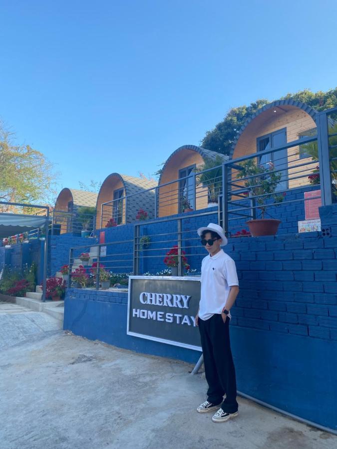 Cherry Homestay Bungalow Vung Tau Exterior photo